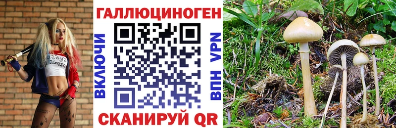 Псилоцибиновые грибы мицелий  KRAKEN ссылки  Кочубеевское 
